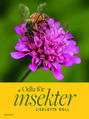 cover image of Odla för insekter